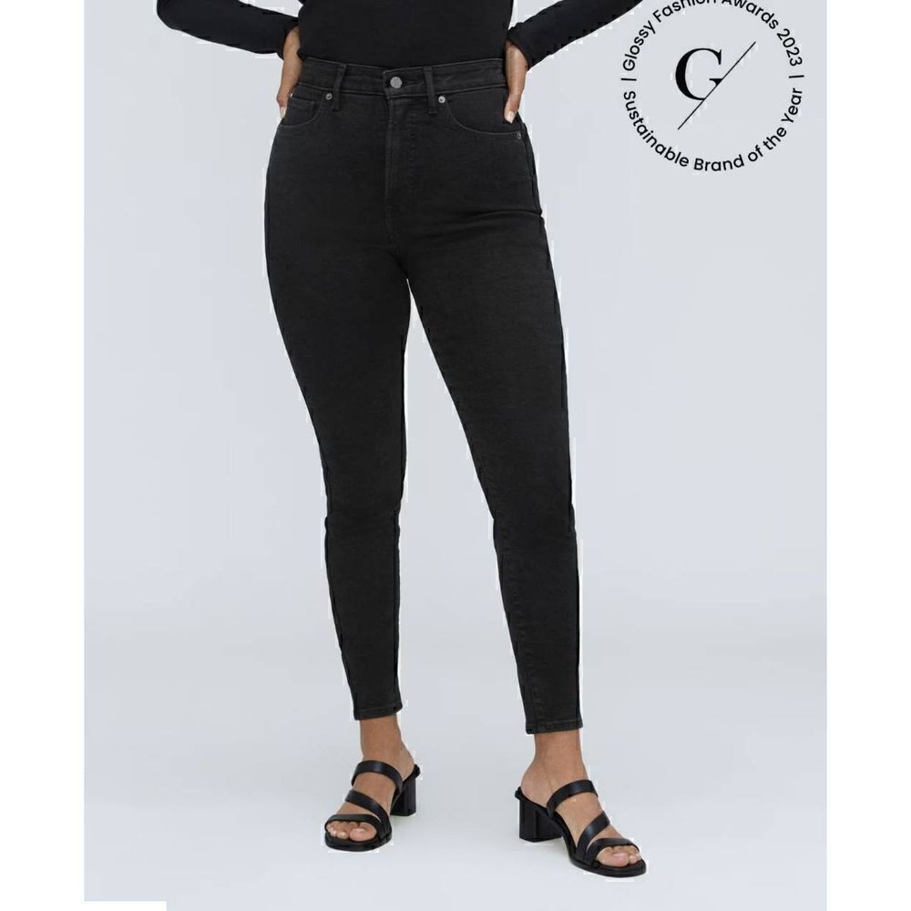 Everlane Curvy H-R Skinny Crop Jeans 27